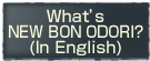 What's NEW BON ODORI? (In English)